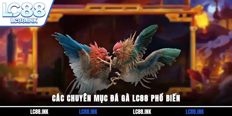 Các chuyên mục đá gà LC88 phổ biến